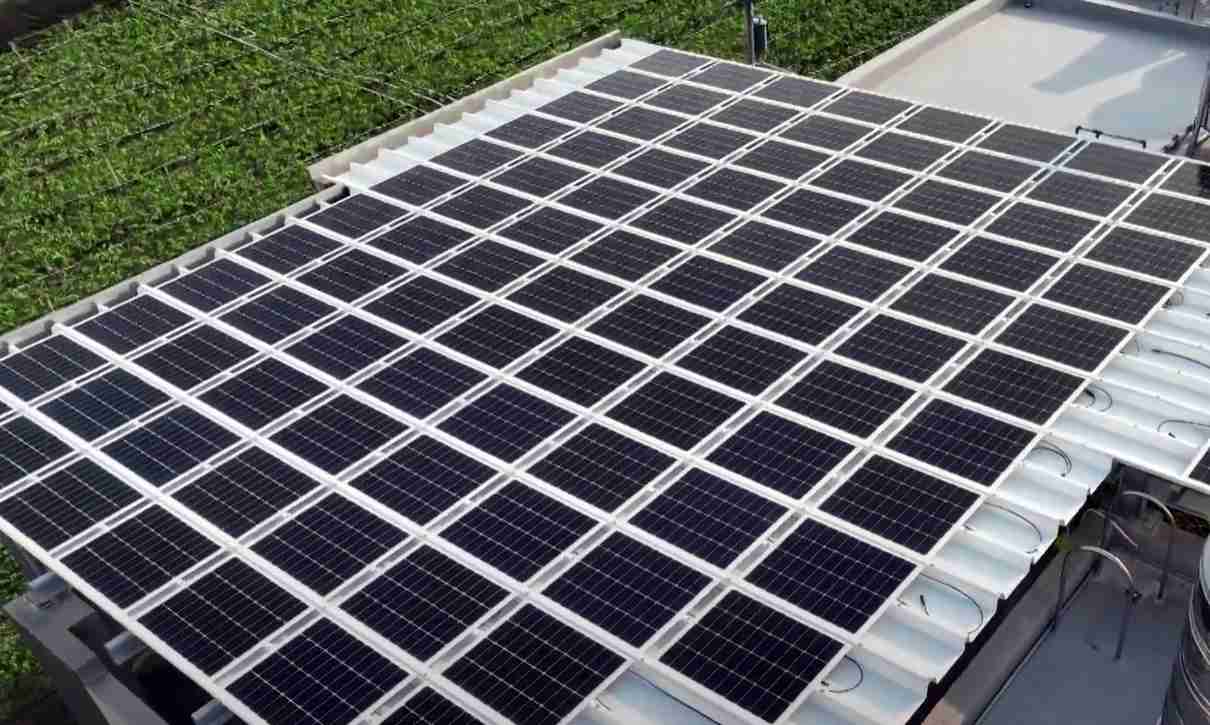 开云电子SunSteel光电浪板升级双玻结构，，，以提升机械负载强度及气候耐候度，，可广泛运用于多元场域